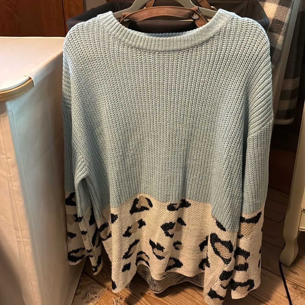 Blue & Cheetah Print Knit Sweater